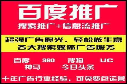 Sem优化公司案例：精准广告投放策略解析